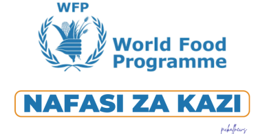 WFP Tanzania Hiring Monitoring Assistant (Help Desk Support)