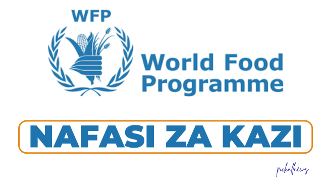 WFP Tanzania Hiring Monitoring Assistant (Help Desk Support)