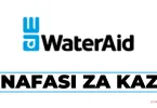 WaterAid Tanzania Hiring Utility Partnerships Senior Advisor