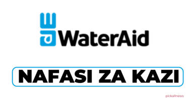 WaterAid Tanzania Hiring Utility Partnerships Senior Advisor