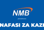 Cybersecurity Administrator Jobs at NMB Bank Tanzania