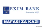 Data Protection Manager Jobs at Exim Bank Tanzania