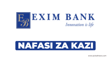 Data Protection Manager Jobs at Exim Bank Tanzania