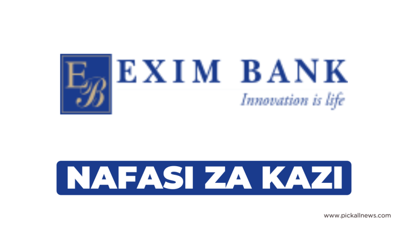 Data Protection Manager Jobs at Exim Bank Tanzania