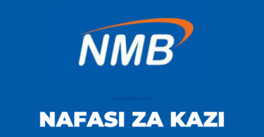 Product Manager; Fund Management Jobs at NMB Bank Tanzania