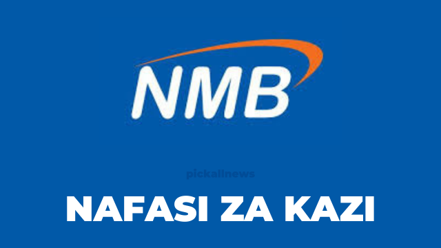 Product Manager; Fund Management Jobs at NMB Bank Tanzania