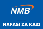 Relationship Manager; Agri Advisory Jobs at NMB Bank Tanzania