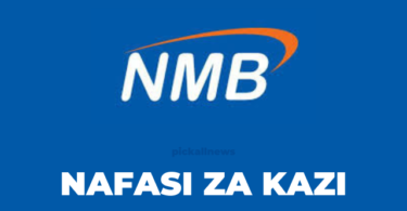 Relationship Manager; Agri Advisory Jobs at NMB Bank Tanzania