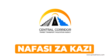 Technical Assistant Jobs at CCTTFA Tanzania