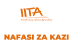 Banana Breeder Jobs at IITA