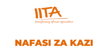 Banana Breeder Jobs at IITA