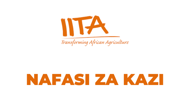 Banana Breeder Jobs at IITA