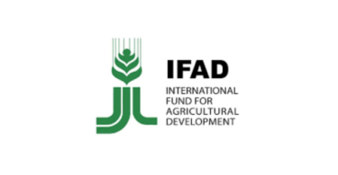 IFAD Hiring Project Coordinator in Tanzania