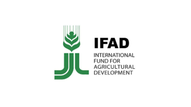 IFAD Hiring Project Coordinator in Tanzania