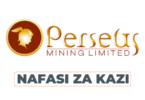 EPCM Construction Manager || Perseus Mining